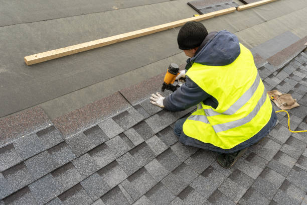 Best Steel Roofing  in Wildwood, FL